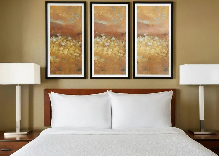 Residence Inn By Marriott Las Vegas Stadium Area